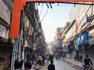 インド　多様性
