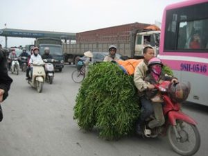 道路とバイク3