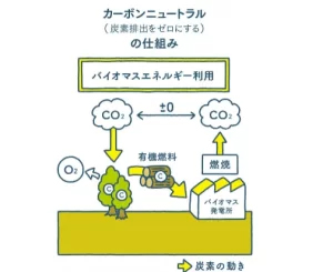 カーボンニュートラルの仕組み